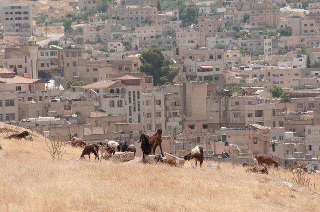 Jerash